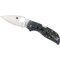 Spyderco 2024 Spyderco Chaparral Raffir Noble Plain SPY-C152RNP - alternate 2